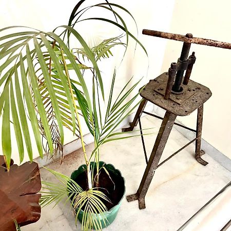 Colonel'S Abode Apartment Agra  Bagian luar foto
